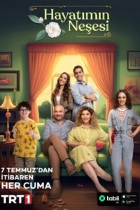 Радость моей жизни турецкий сериал